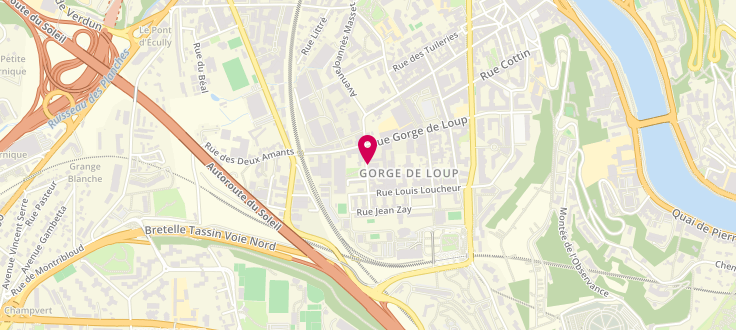 Plan de Pôle emploi de Lyon - Vaise, 29 Avenue Joannes Masset, 69009 Lyon