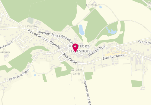 Plan de France services du Centre Social Lares, 1 Place Jacques Moreau, 72450 Montfort-le-Gesnois