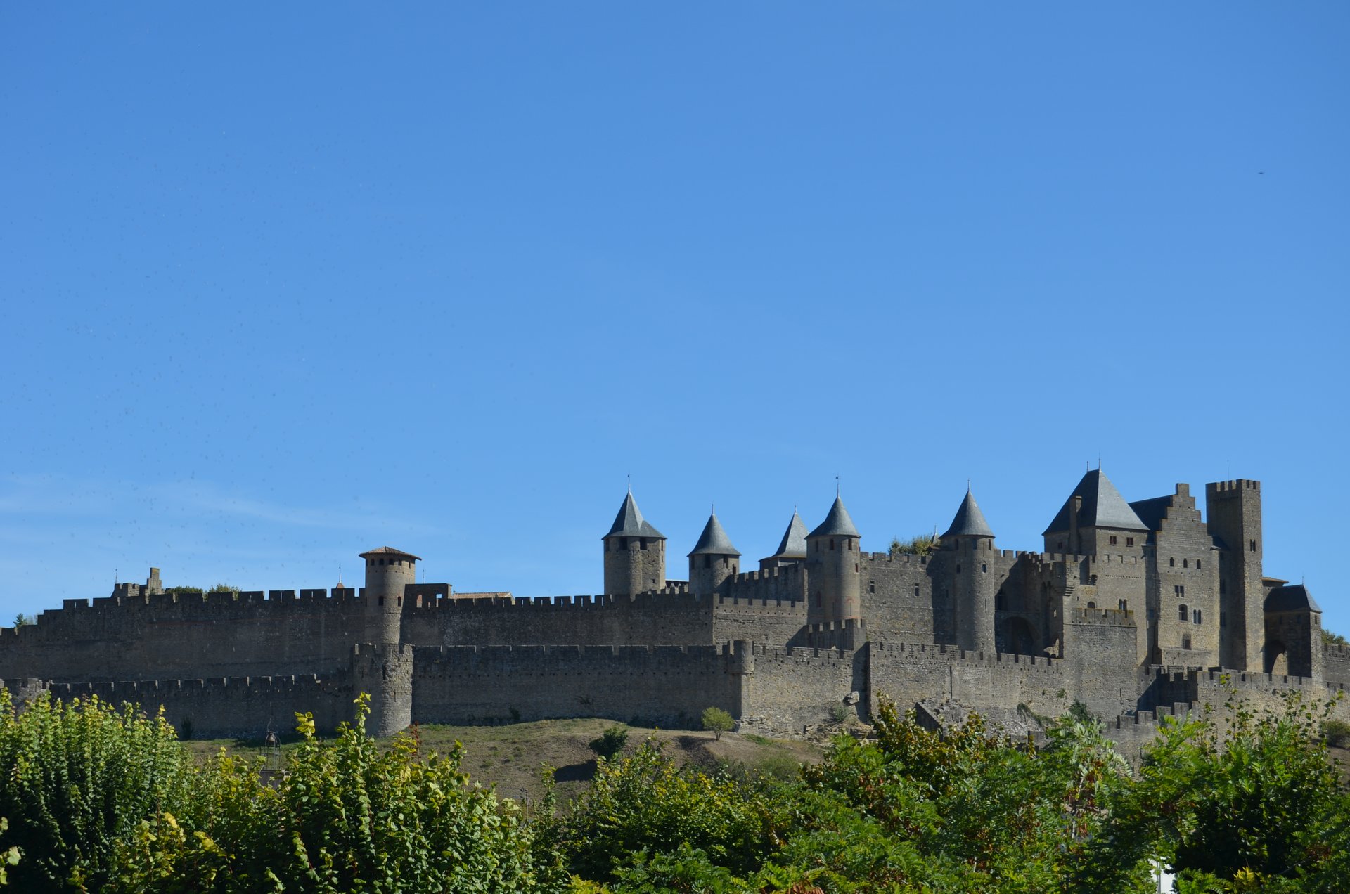 Fiche infos Pôle Emploi Carcassonne