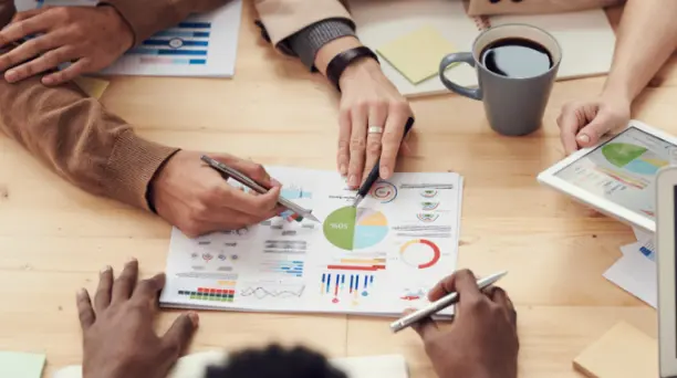 Business Process Owner