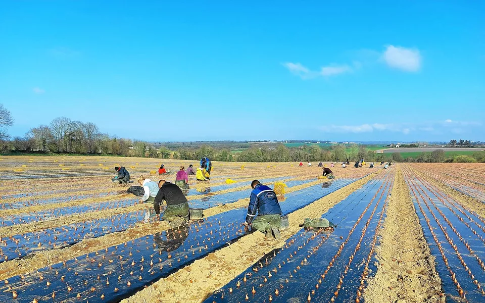m&eacute;tiers les plus en tension en Bretagne