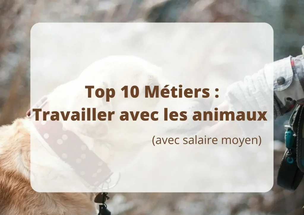Top 10 des métiers pour travailler avec les animaux 1
