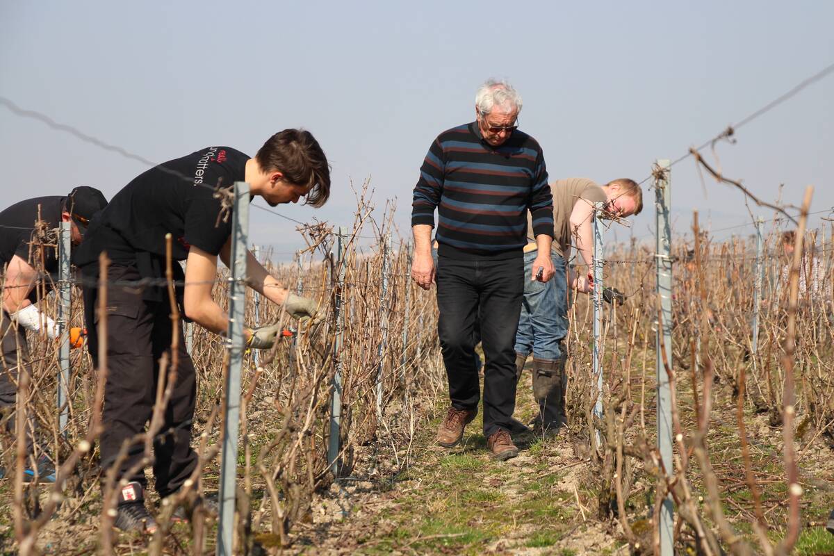Ouvriers agricoles et viticoles