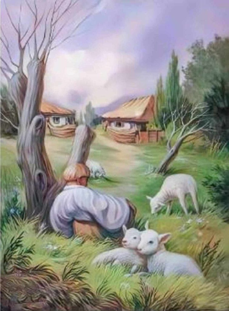 première impression visuelle