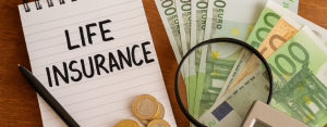 Combien rapporte une assurance vie en 2025