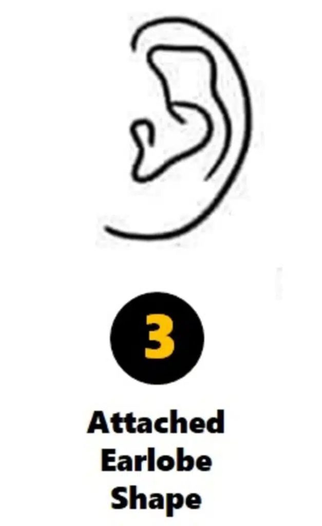 Lobes d’oreilles attachés