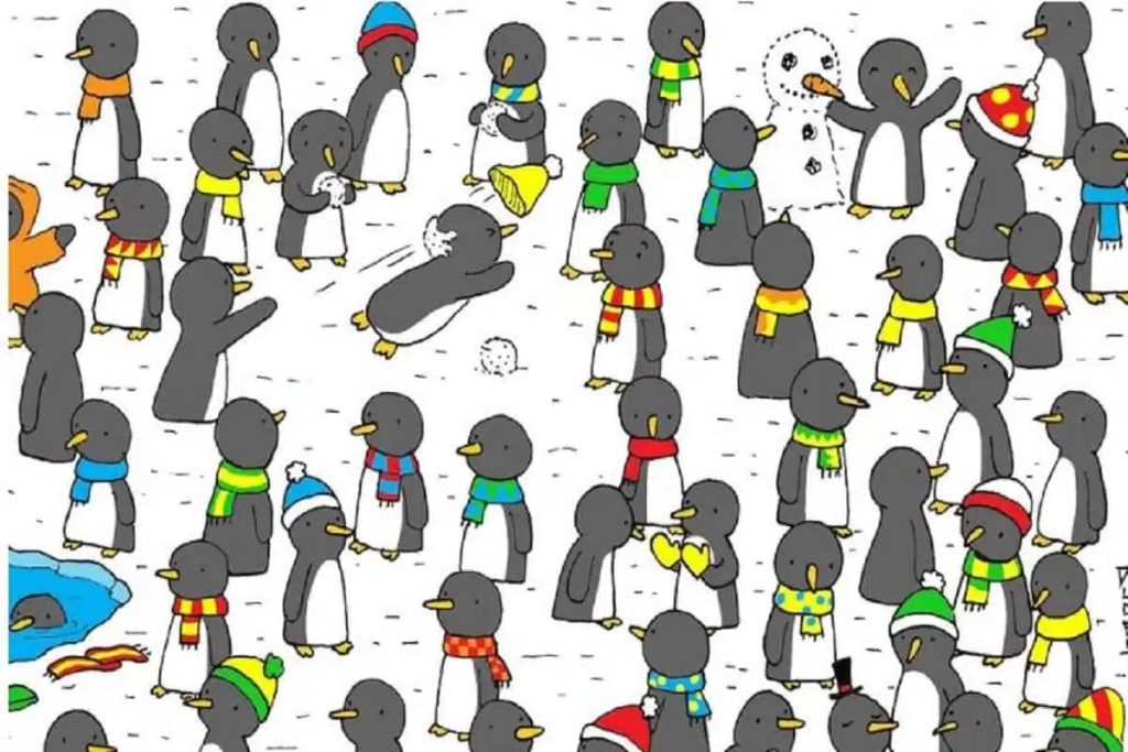 Ces pingouins dissimulent 7 secrets