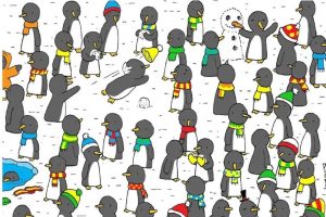 Ces pingouins dissimulent 7 secrets