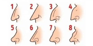 forme de nez