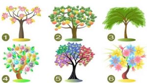 Quel arbre vous attire le plus ?