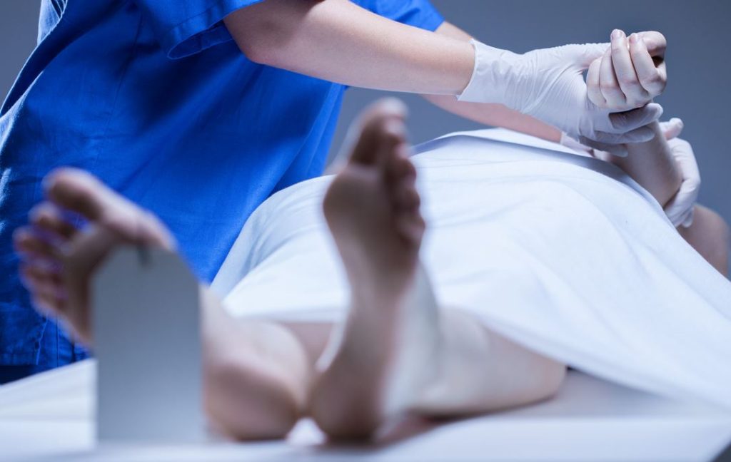 Quelles sont les perspectives de carri&egrave;re et d&rsquo;&eacute;volution dans ce m&eacute;tier