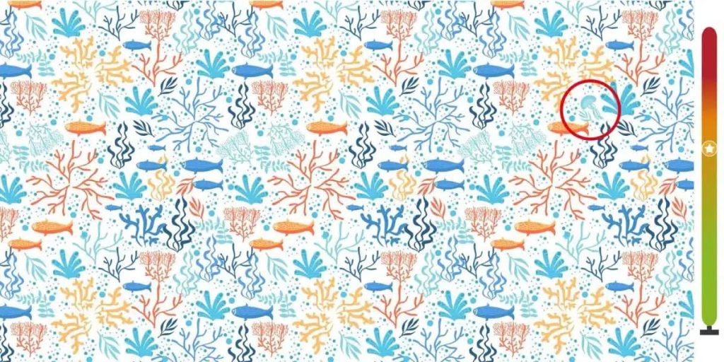 la m&eacute;duse trouv&eacute;e