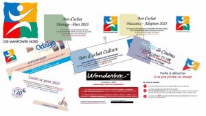 Comment accéder au CSE Manpower Nord et profiter de ses services