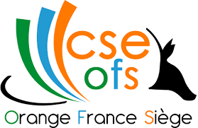 Quels types de services sont disponibles via le CSE Orange