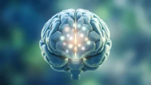 cerveau test memoire apprendre bdf6